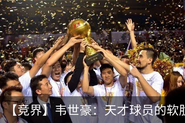 【竞界】韦世豪：天才球员的软肋 洪七公效应的外溢
